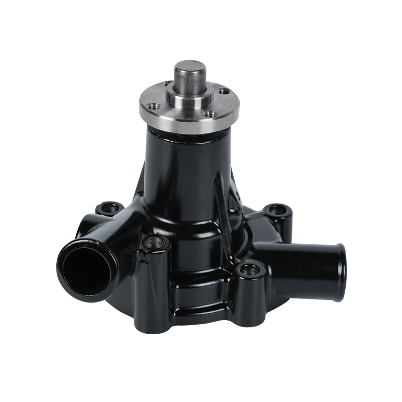 Yanma Pump: Evolving for Efficiency and Versatility